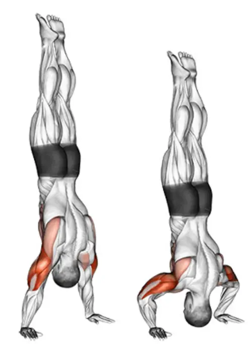 handstand-push-up
